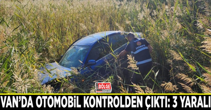 Van’da otomobil kontrolden çıktı: 3 yaralı