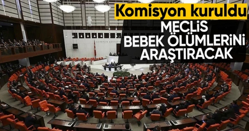 Bebek ölümlerini araştırmak için TBMM'de komisyon kuruldu