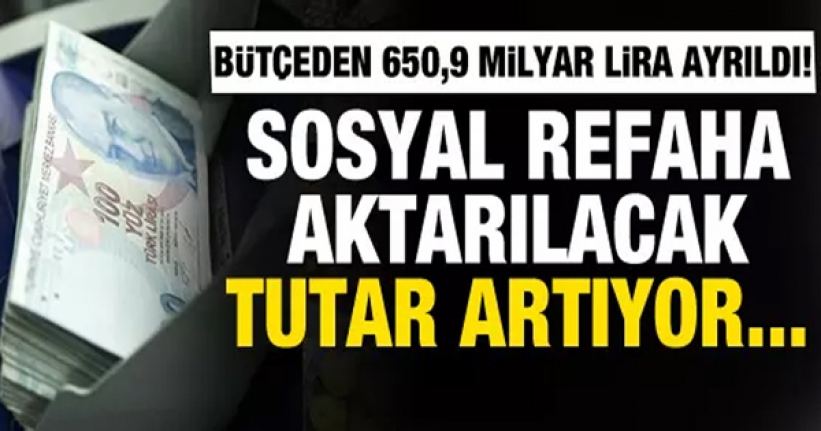 Bütçenin 650,9 milyar lirası sosyal refaha gidecek!