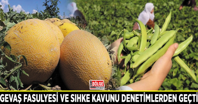 Gevaş Fasulyesi ve Sıhke Kavunu denetimlerden geçti