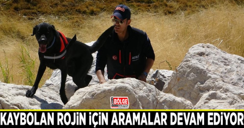 Kaybolan Rojin için aramalar devam ediyor