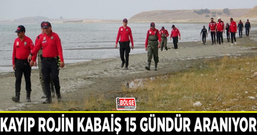 Kayıp Rojin Kabaiş 15 gündür aranıyor