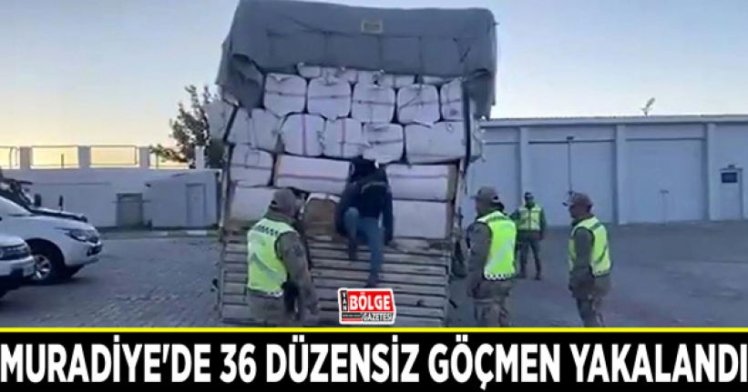 Muradiye'de 36 düzensiz göçmen yakalandı