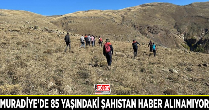 Muradiye'de 85 yaşındaki şahıstan haber alınamıyor