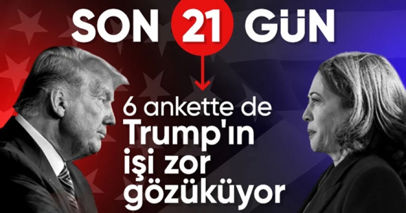 Trump-Harris yarışında anketlerde kim önde?