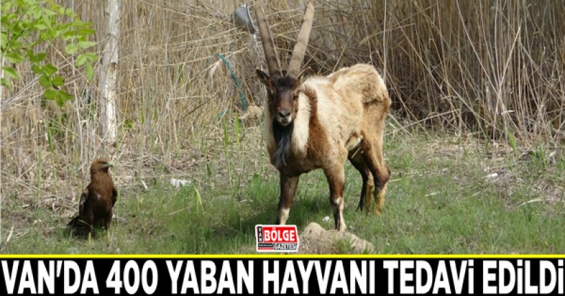 Van'da 400 yaban hayvanı tedavi edildi