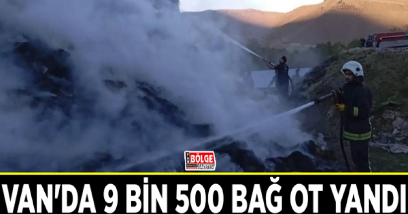 Van'da 9 bin 500 bağ ot yandı