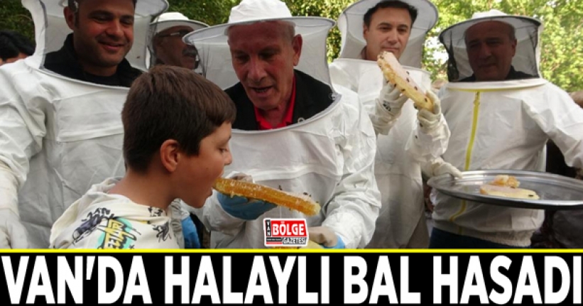 Van'da halaylı bal hasadı