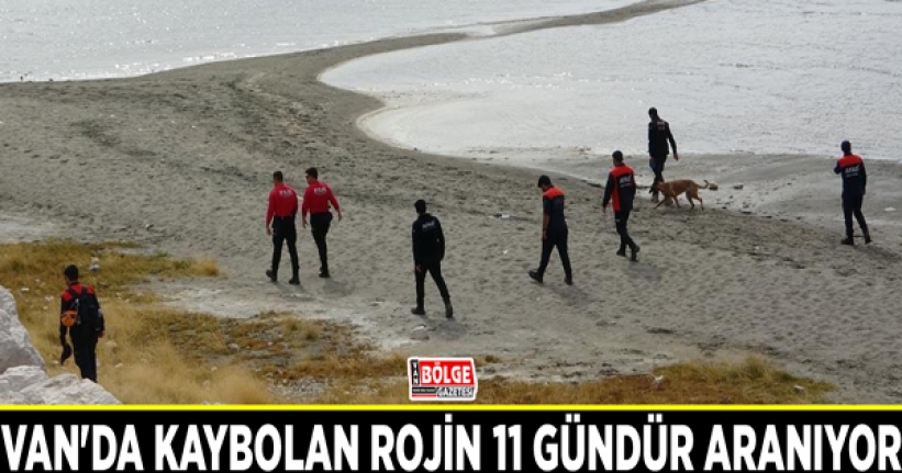 Van'da kaybolan Rojin 11 gündür aranıyor