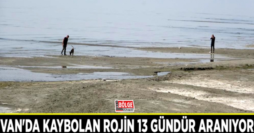 Van'da kaybolan Rojin 13 gündür aranıyor