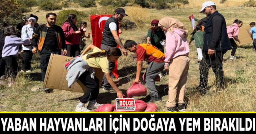 Yaban hayvanları için doğaya yem bırakıldı