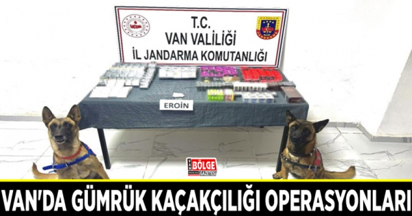 Van'da gümrük kaçakçılığı operasyonları