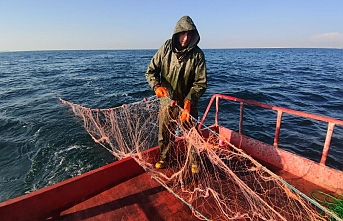 Vanlı balıkçılardan ekmek mücadelesi…