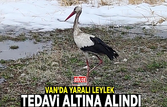 Van’da yaralı leylek tedavi altına alındı