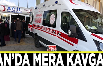 Van'da mera otlatma kavgası: 4 yaralı