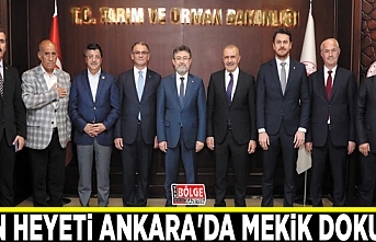 Van heyeti Ankara'da mekik dokudu