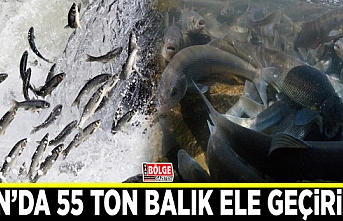 Van’da 55 ton balık ele geçirildi