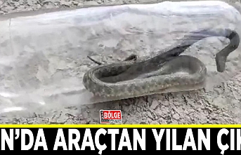 Van’da araçtan yılan çıktı