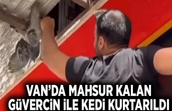 Van’da mahsur kalan güvercin ile kedi kurtarıldı