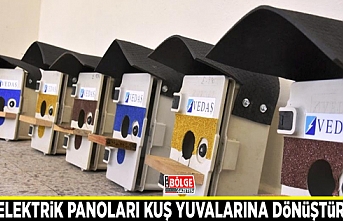 Atıl durumdaki elektrik panoları kuş yuvalarına dönüştürüldü