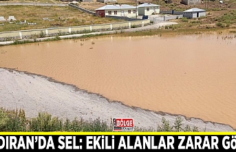 Çaldıran’da sel: Ekili alanlar zarar gördü