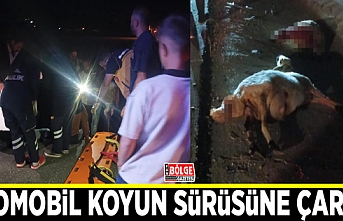 Otomobil koyun sürüsüne çarptı: 2 kişi yaralandı