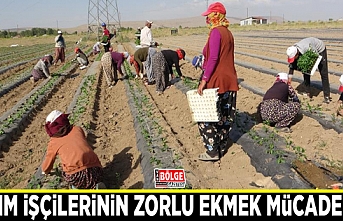 Tarım işçilerinin zorlu ekmek mücadelesi