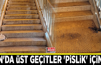 Van'da üst geçitler 'pislik' içinde