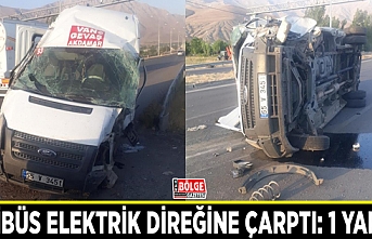 Minibüs elektrik direğine çarptı: 1 yaralı