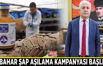 Sonbahar şap aşılama kampanyası başlıyor