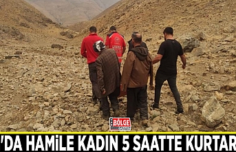 Van'da hamile kadın 5 saatte kurtarıldı