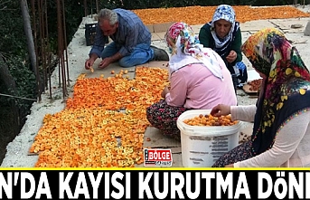 Van'da kayısı kurutma dönemi