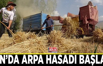 Van’da arpa hasadı başladı