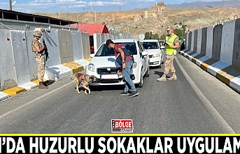 Van’da 'Huzurlu Sokaklar Uygulaması' yapıldı