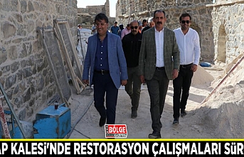 Hoşap Kalesi'nde restorasyon çalışmaları sürüyor