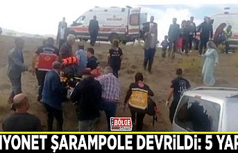 Kamyonet şarampole devrildi: 5 yaralı