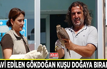 Tedavi edilen gökdoğan kuşu doğaya bırakıldı