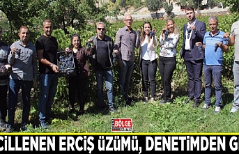 Tescillenen Erciş Üzümü, denetimden geçti