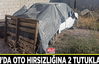 Van'da oto hırsızlığına 2 tutuklama