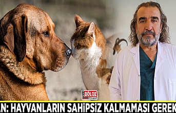 Aslan: Hayvanların sahipsiz kalmaması gerekiyor