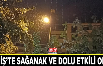 Erciş’te sağanak ve dolu etkili oldu