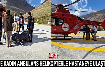 Hamile kadın ambulans helikopterle hastaneye ulaştırıldı