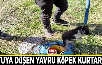 Sondaj kuyusuna düşen yavru köpek kurtarıldı