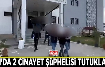 Van'da 2 cinayet şüphelisi tutuklandı