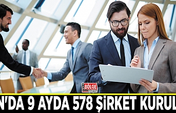 Van'da 9 ayda 578 şirket kuruldu