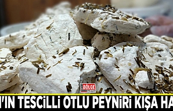 Van'ın tescilli otlu peyniri kışa hazır