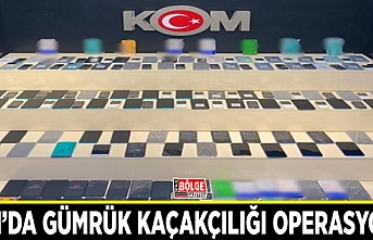 Van’da gümrük kaçakçılığı operasyonu