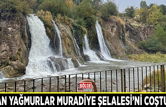 Yağan yağmurlar Muradiye Şelalesi’ni coşturdu