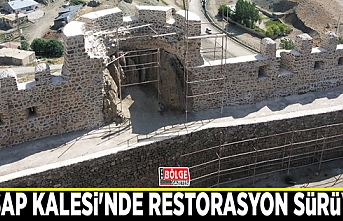 Hoşap Kalesi'nde restorasyon sürüyor