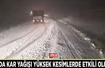 Van'da kar yağışı yüksek kesimlerde etkili oluyor